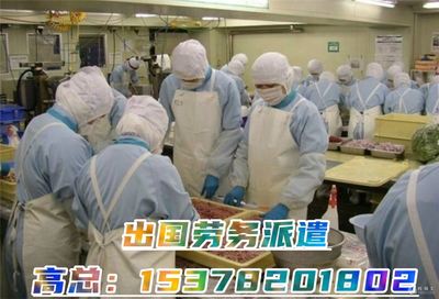 揭秘高薪出国劳务 建筑工、厨师、司机、普工年薪40万起如何实现